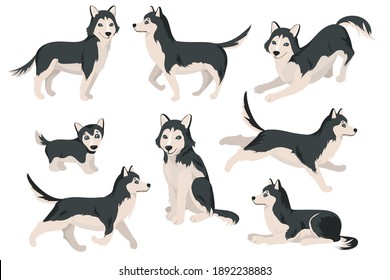 Boston Terrier Clipart Dog Healthy Silhouette Stock Vector (Royalty ...