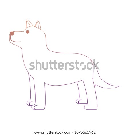 cute husky dog icon