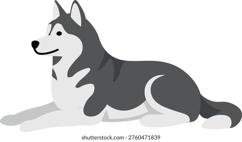 Cute Husky Dog Lying Down Pet Puppy Vector Illustration