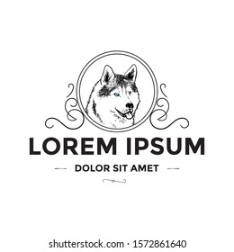 Cute Husky dog wolf logo design