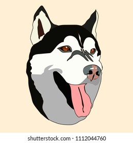 Cute husky illustration