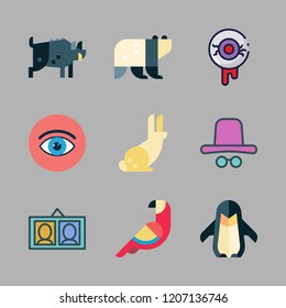 cute icon set. vector set about rabbit, parrot, penguin and eye icons set.