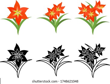 The cute icons of amaryllis