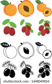 The cute icons of apricot and jujube