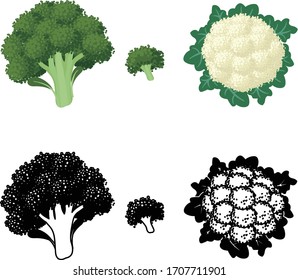 The cute icons of broccoli and cauliflower