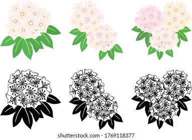 The cute icons of kalmia