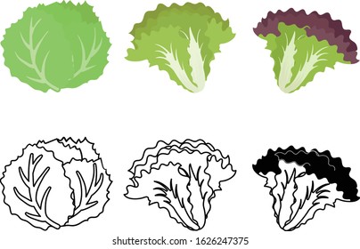 The cute icons of lettuce