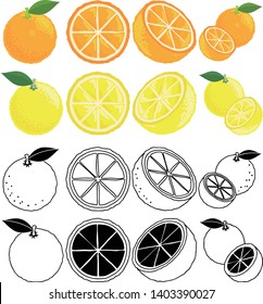 The cute icons of orange and grapefruit