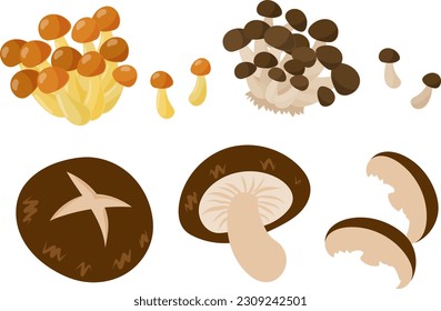 The cute icons of various food such as nameko and shimeji and shiitake