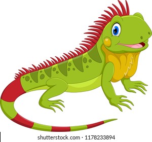 Cute iguana cartoon