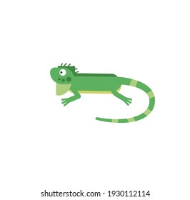 Cute Iguana Cartoon Vector On A White Background