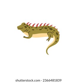 Cute iguana, flache Vektorgrafik einzeln auf weißem Hintergrund. Grünes Iguana-Tier. Konzepte von Tieren, Reptilien, Natur und wild lebenden Tieren.