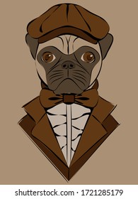 cute illustrasion with pug in old-fashioned cap and jacket