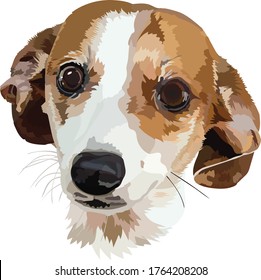 Cute illustrated innocent looking Jack Russel dog