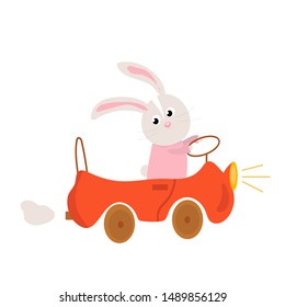
Cute illustration animals and transport. Illustration for the design of children's cards and books. vector characters for children's rooms.