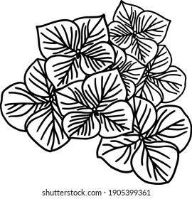 Cute illustration with a black and white graphic image of flowers and leaves, the leaves are made with hatching, hand drawing, stock illustration
