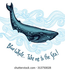 Cute Illustration With Blue Whale