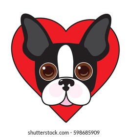 A cute illustration of a Boston Terrier face with a red heart in the background