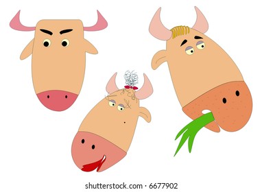 Cute illustration of cattle heads