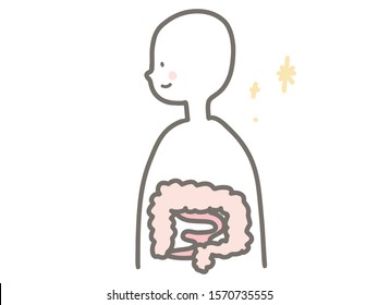 Cute illustration of cross section of large and small intestine.
