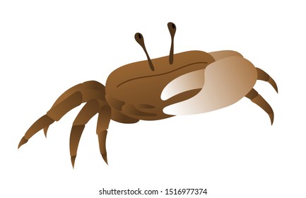 Cute illustration of fiddler crab