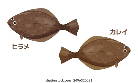 Cute illustration of flatfish and plaice_Translation: flatfish, flounder