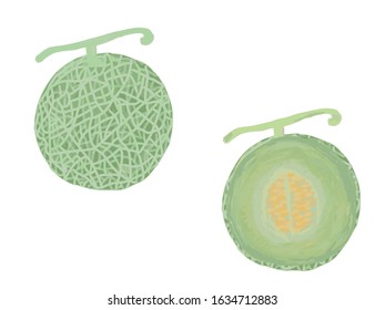It is a cute illustration of a fresh melon.
