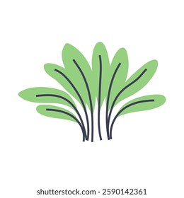 Cute illustration of green plant. Perfect for creating minimalist and modern plant designs
