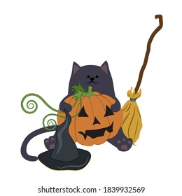 Cute illustration for halloween holiday. Isolated flat illustration of a cat, a wizard's hat,  and a broom on white background