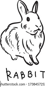A cute illustration hand drawn rabbit