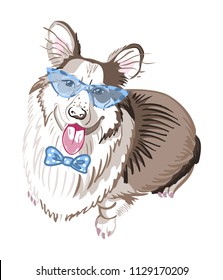 Cute illustration with hand-drawn smiling white-brown Pembroke Welsh Corgi dog with blue sunglasses and bow tie. Stylish design for fashion, style, magazines, decoration, boutique, pet shop, etc