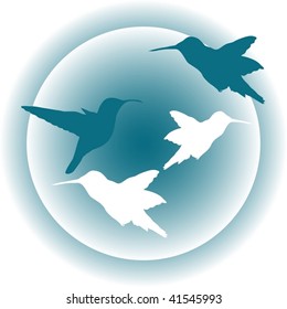 Cute illustration of hummingbird