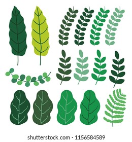 Cute illustration of Leaves.