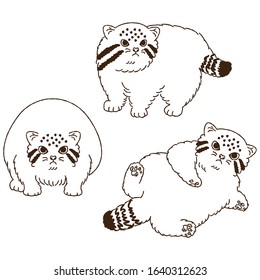 
Cute illustration of Manul cat