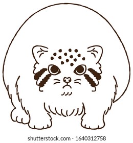 Cute illustration of Manul cat