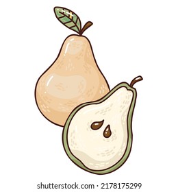 cute illustration of pear. Fresh fruit art. bright vector illustration.