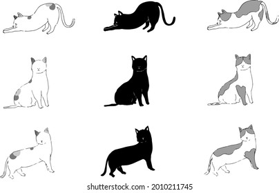 Cute illustration poses of 3 kinds of cats