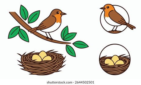 Cute illustration of a robin bird perched on a branch and nest with eggs vector design