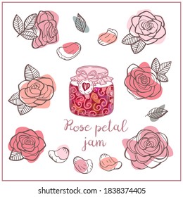 Cute illustration with Rose petal jam. Graphic hand drawn engraving style. Doodle background for packaging, menu cards, posters, prints.