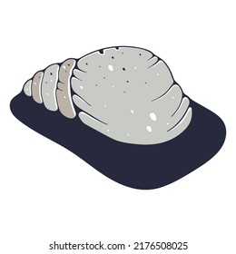Ilustración con concha marina. Aislado sobre un fondo blanco. Ilustraciones del doodle vectorial.