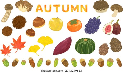 Cute illustration set of autumn materials