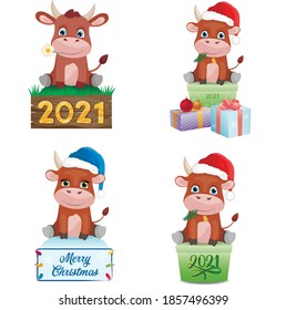 Cute illustration сhristmas set cows. Symbol of 2021. Flat cartoon vector illustration