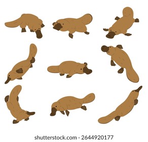 Cute illustration set of a platypus in various poses and angles, including standing, swimming, resting. Ideal for wildlife content, educational materials, and animal themed designs.