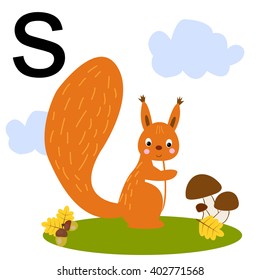 Cute illustration of a squirrel. Mushrooms, acorns, autumn. Protein with a letter of the alphabet.