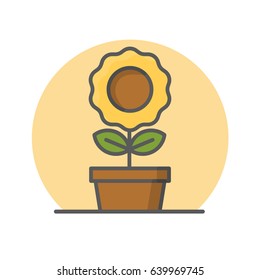 Cute illustration of sun flower isolated in white background