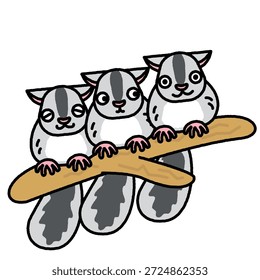 Uma bela ilustração de três esquilos voadores empoleirados lado a lado em um galho.