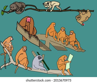 cute illustration vector for children's education various animals