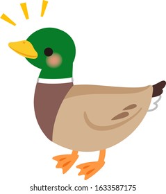 Cute illustration of a wild duck