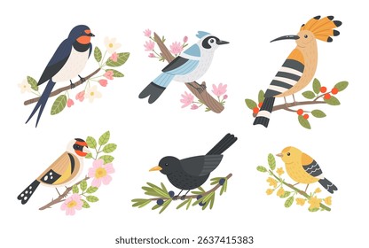 Cute illustrations of swallow, bluebird, hoopoe, goldfinch, blackbird and canary. Vector set of cartoon birds on different branches on white background.