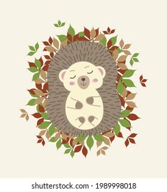 Cute image vector illustration of adorable hedgehog isolated on white background. Hedgehog in the leaves, autumn. Hand drawing hedgehog for greeting cards, decor for nursery and nursery.